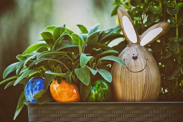 eduatrakcja easter angielski
